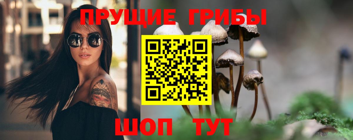 Галлюциногенные грибы Psilocybine cubensis Домодедово